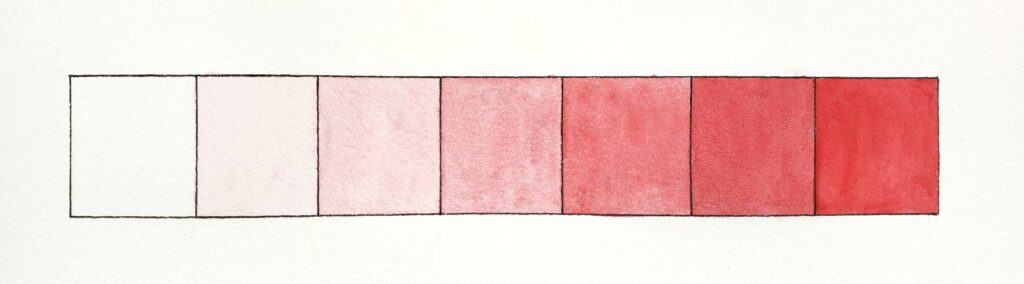 There is an image of a watercolor value scale in the color red. There are seven boxes on the scale. The first box on the left is white and the scale transitions to dark red in the seventh box on the right.