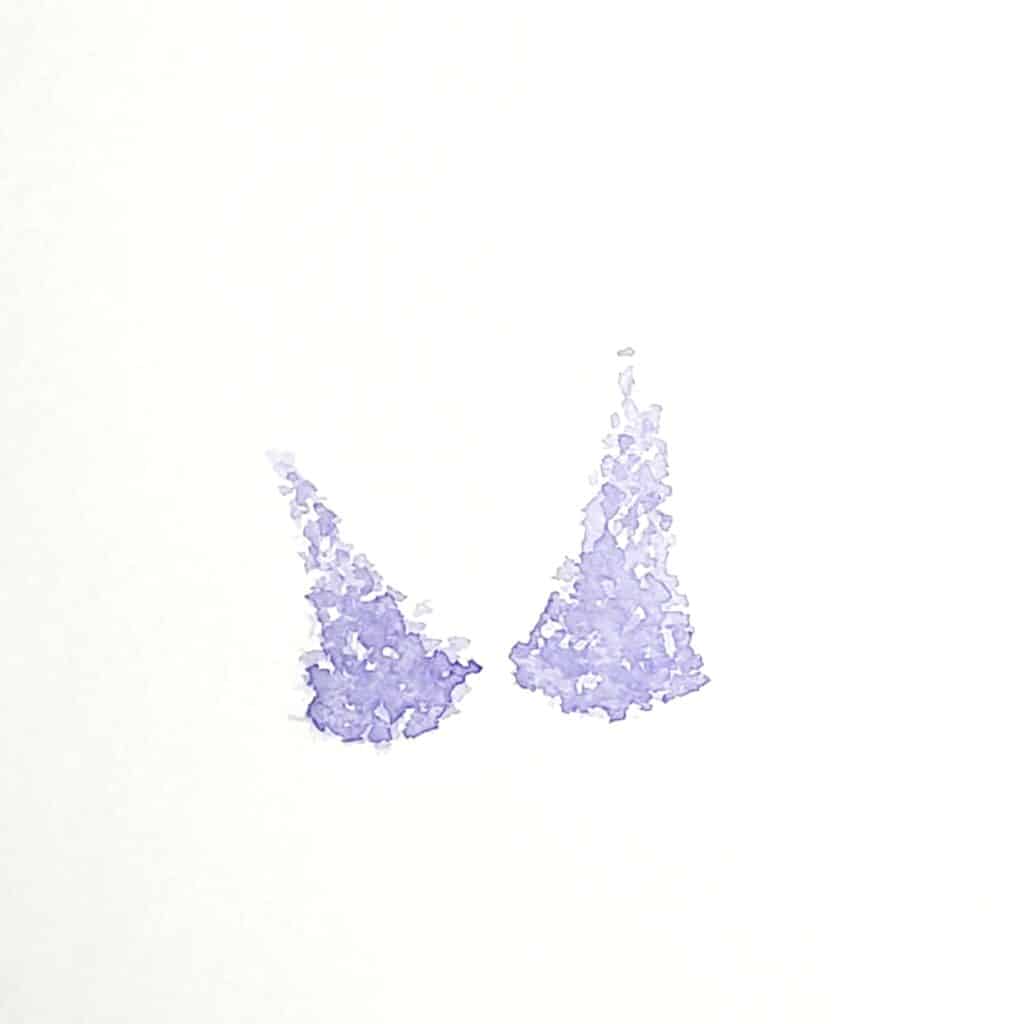 There is an image of two lilac flowers. Both lilacs have a second layer of pigment which gives some shadow to their forms. This is the third step in the how to paint lilac tutorial.