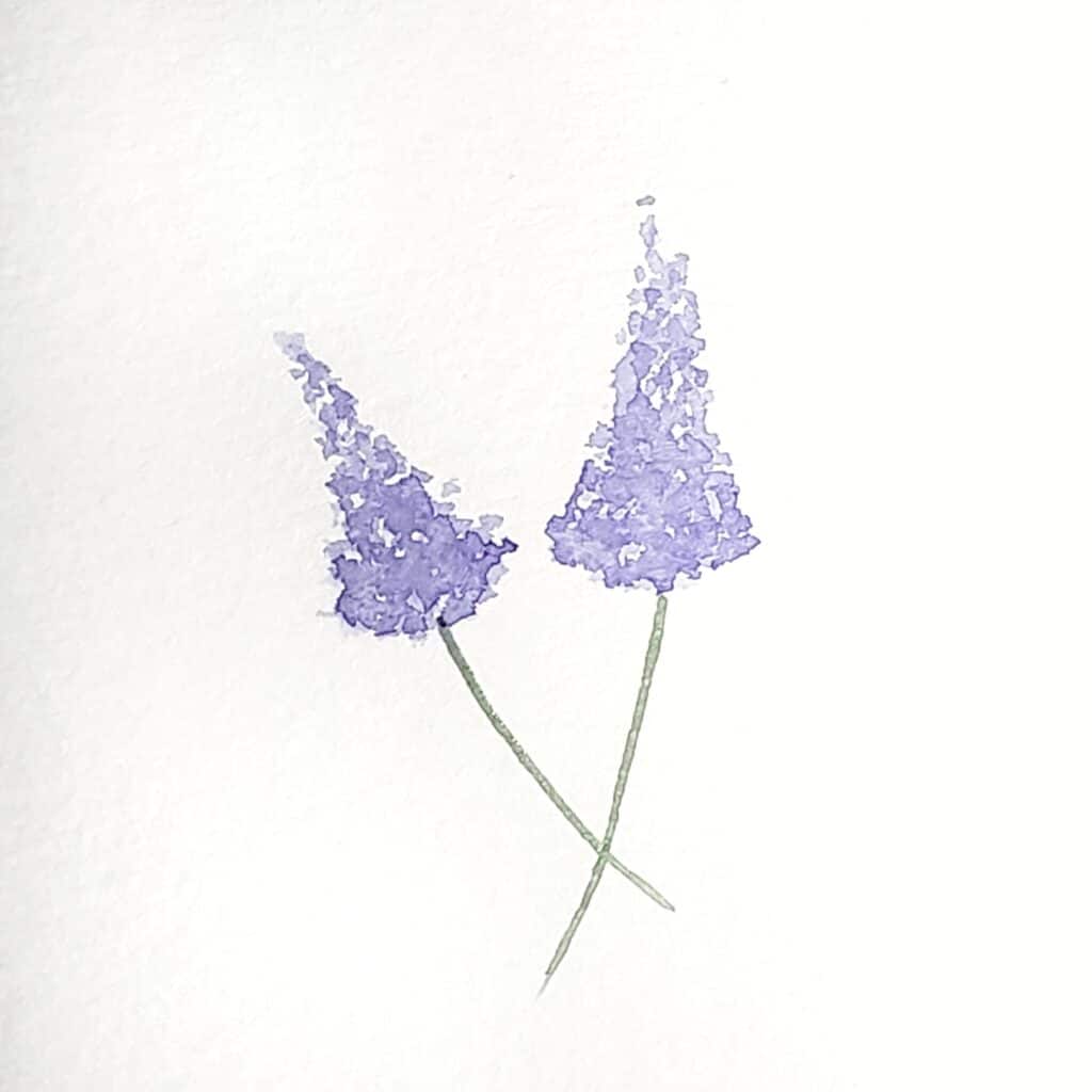 There is an image of two lilac flowers. Both lilacs are painted in a long triangle shape, and they both have long green stems. This is the fourth step in the how to paint lilac tutorial.