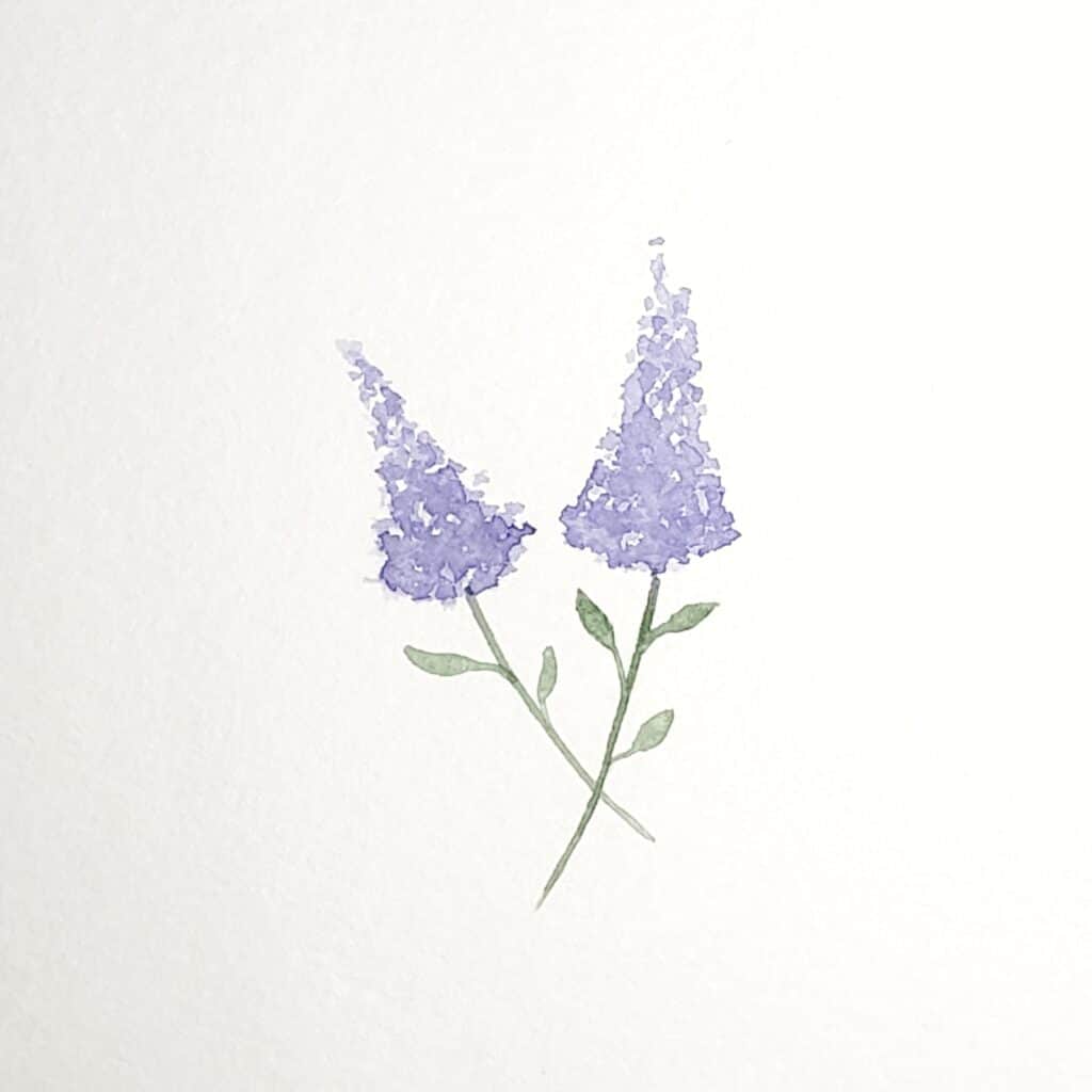 There is an image of two lilac flowers. Both lilacs are painted in a long triangle shape, and they both have long green stems with several leaves. This is the fifth and final step in the how to paint lilac tutorial.