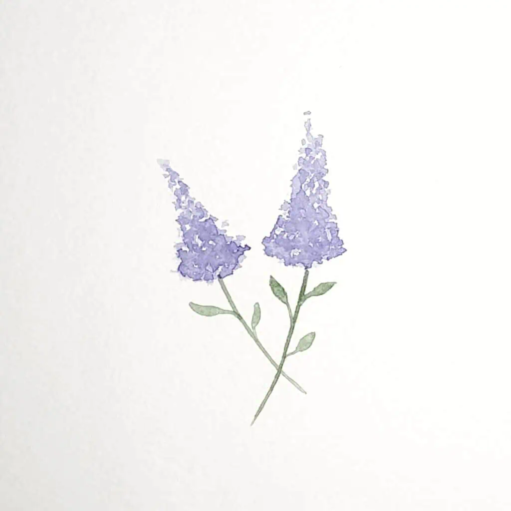 There is an image of two lilac flowers. Both lilacs are painted in a long triangle shape, and they both have long green stems with several leaves. This is the fifth and final step in the how to paint lilac tutorial.
