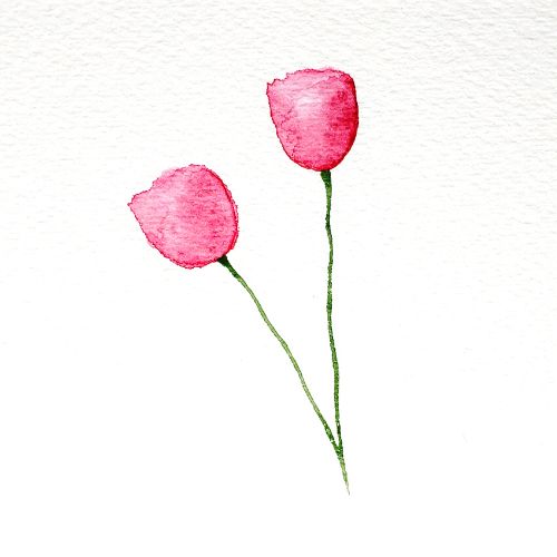 There is an image of two watercolor tulips, and both have long green stems. This is the third step in the watercolor tulips tutorial.