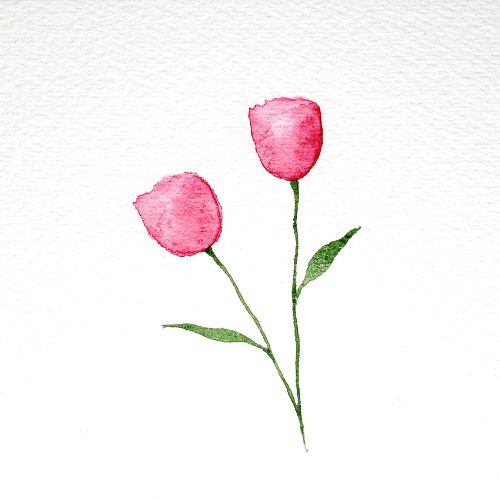 There is an image of two watercolor tulips, and both have long green stems with leaves. This is the fourth step in the  watercolor tulips tutorial.