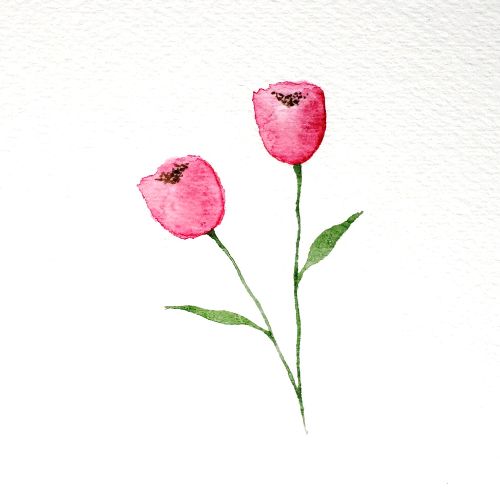 There is an image of two watercolor tulips, and both have long green stems with leaves. In the center of the petals are tiny brown seeds. This is the fifth and final step in the watercolor tulips tutorial.