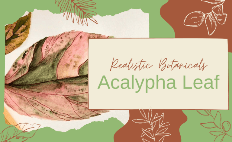 Realistic Botanicals: Acalypha Leaf