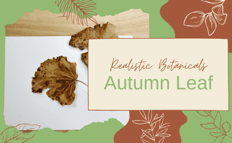 Realistic Botanicals: Autumn Leaf