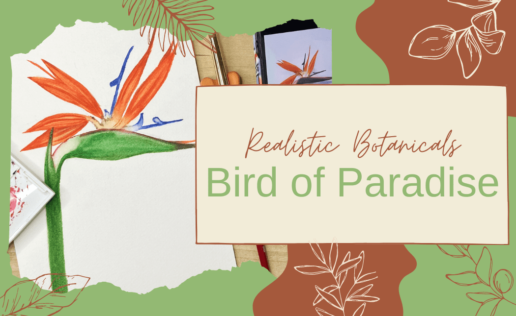 Realistic Botanicals: Bird Of Paradise