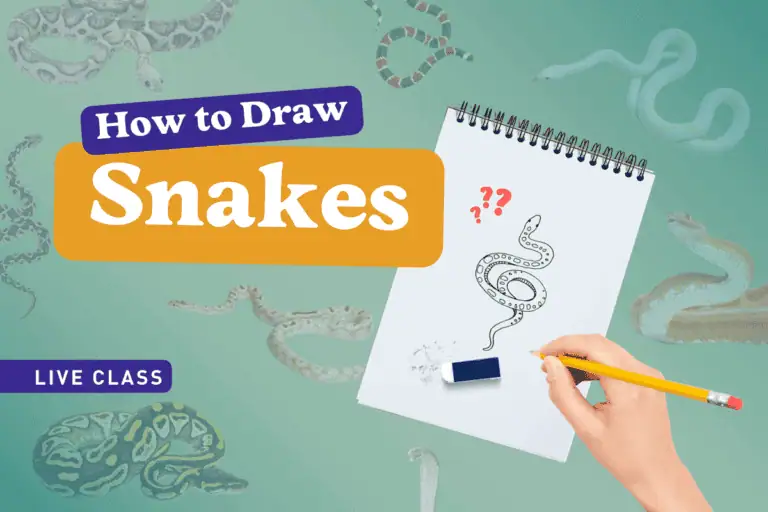 How To Draw Snakes – A Beginner’s Guide